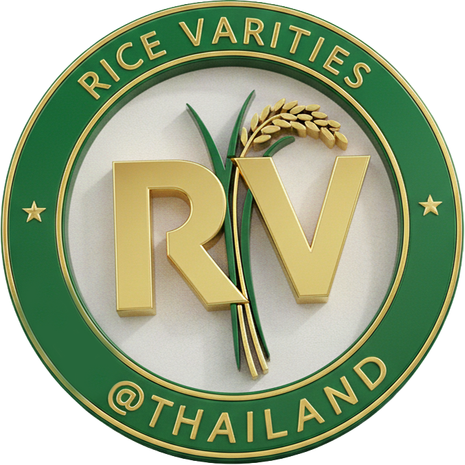 Logo RVN